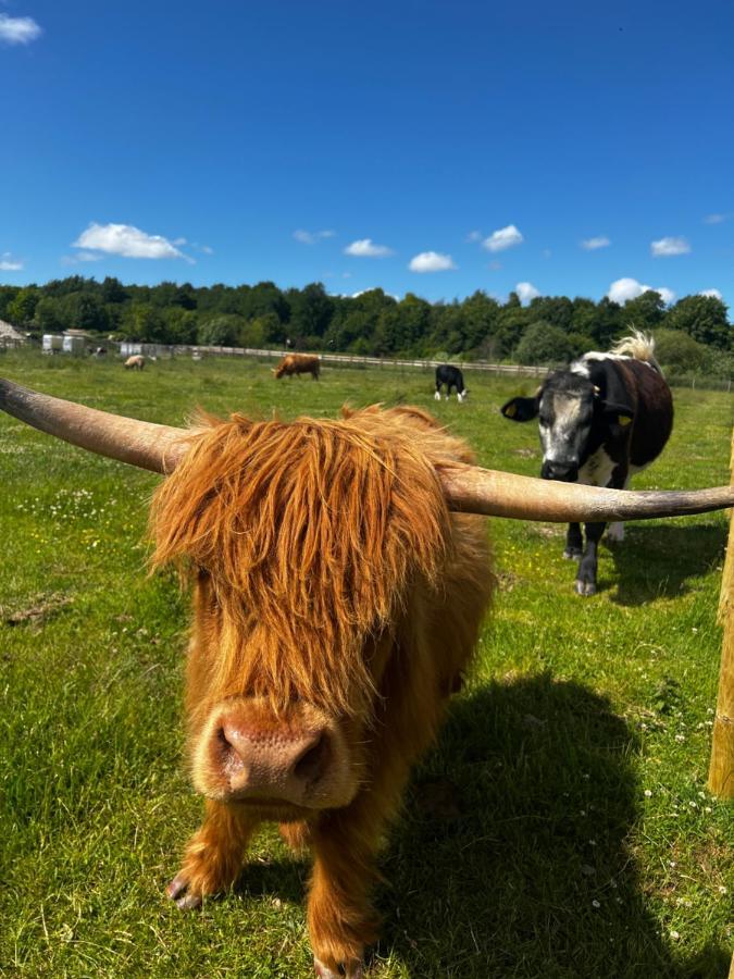 Stonehenge Hostel - Yha Affliated Cholderton Zewnętrze zdjęcie
