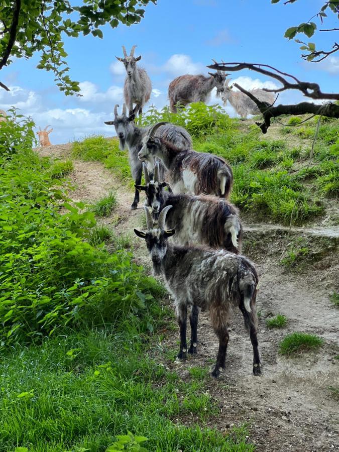 Stonehenge Hostel - Yha Affliated Cholderton Zewnętrze zdjęcie